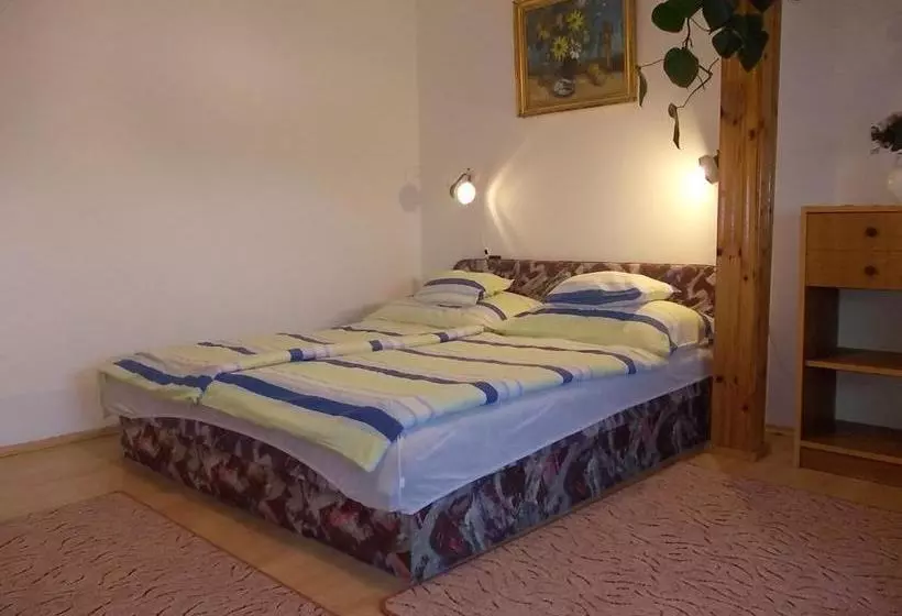 Fotos del hotel Judit Vendégház:  7