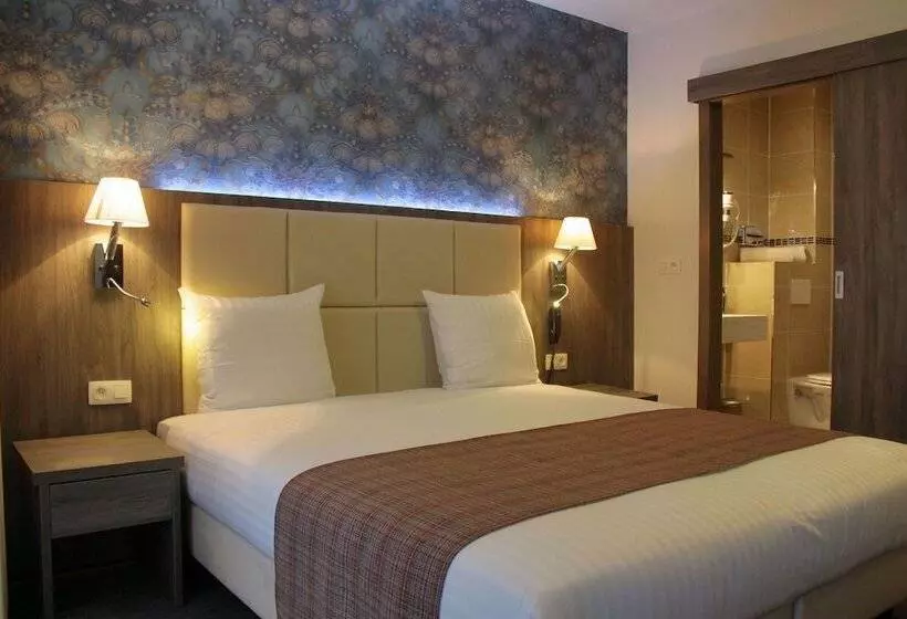 Fotos del hotel Dansaert:  6