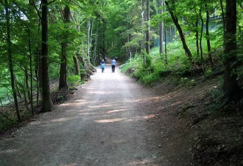 Fotos del hotel B&b Dvor Tacen:  5