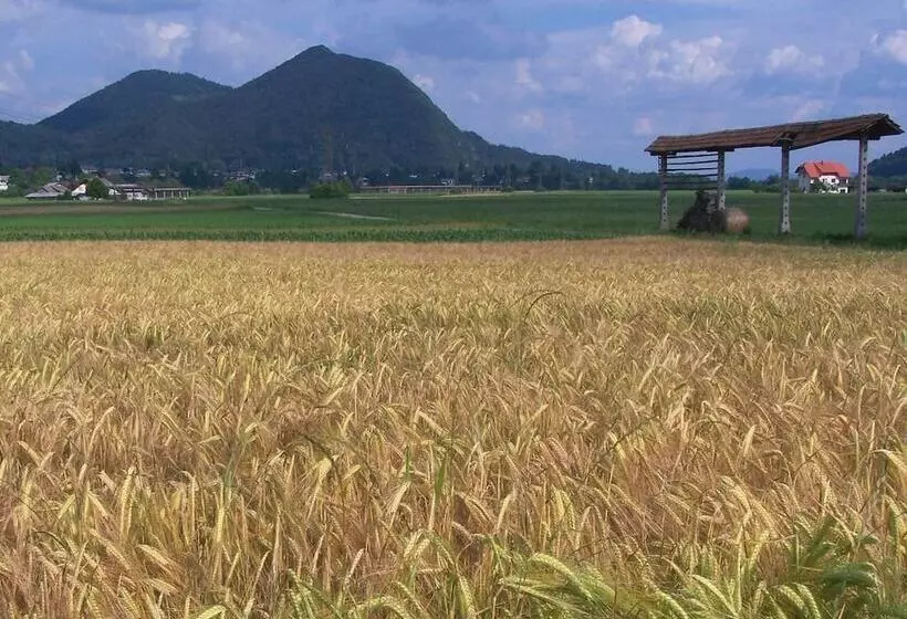 Fotos del hotel B&b Dvor Tacen:  9