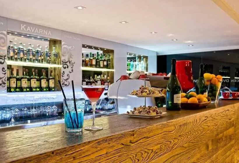 Fotos del hotel B&b Dvor Tacen:  3