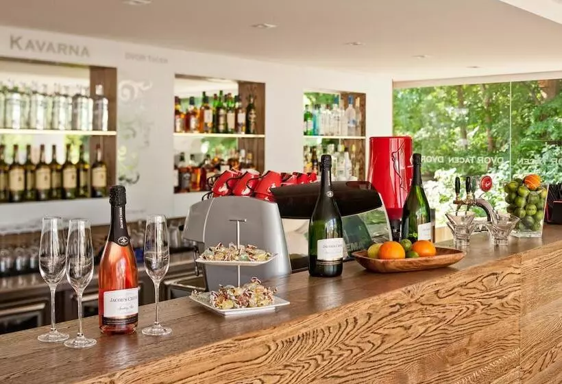 Fotos del hotel B&b Dvor Tacen:  10