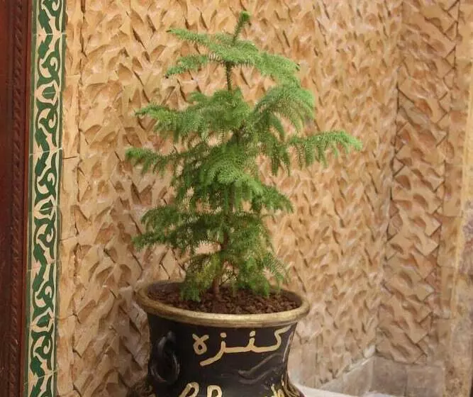 Fotos del hotel Dar La Bague De Kenza:  6