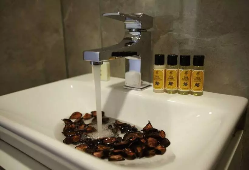 Fotos del hotel Duo Galata:  7