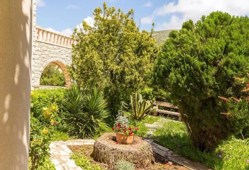 Fotos del hotel Guest House Steel:  8