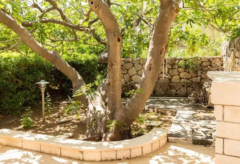 Fotos del hotel Guest House Steel:  4