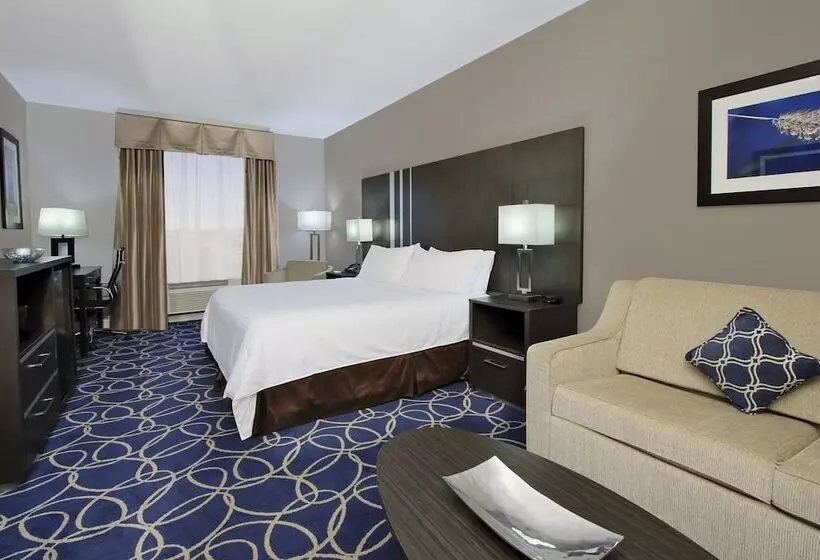 Fotos del hotel Holiday Inn Express And Suites Houston North - Iah Area, An Ihg:  2