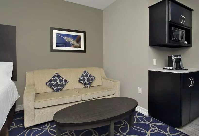 Fotos del hotel Holiday Inn Express And Suites Houston North - Iah Area, An Ihg:  23