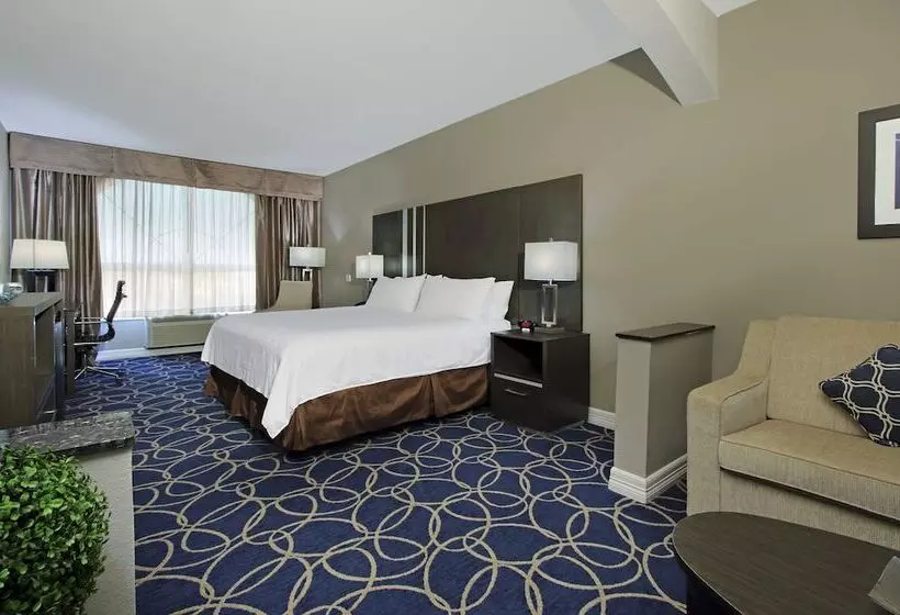 Fotos del hotel Holiday Inn Express And Suites Houston North - Iah Area, An Ihg:  20