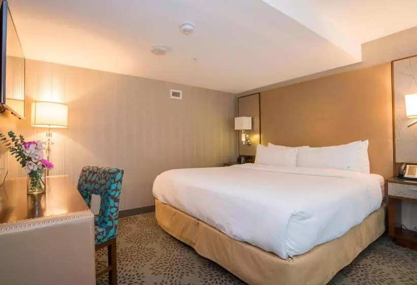 Fotos del hotel Blu:  18