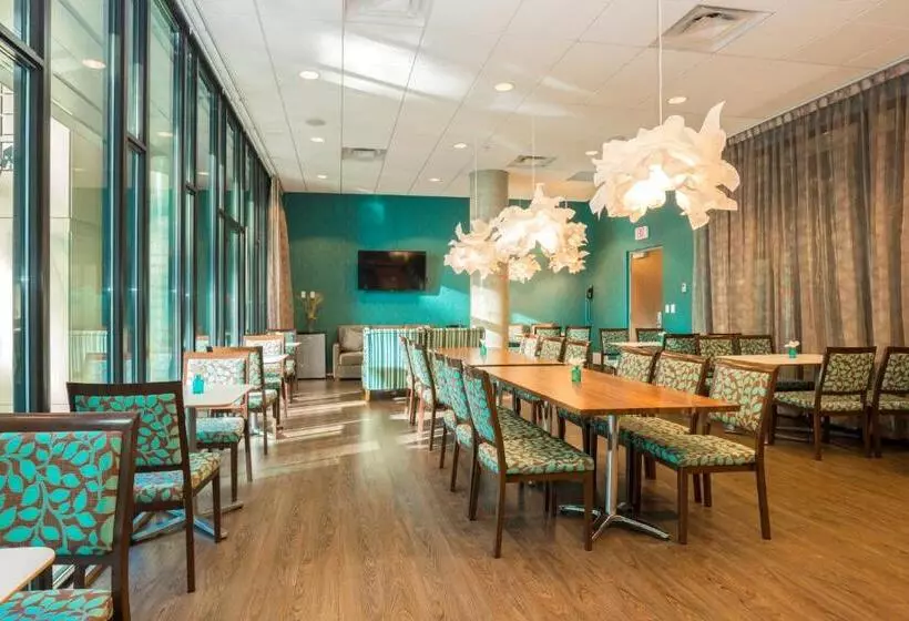 Fotos del hotel Blu:  8