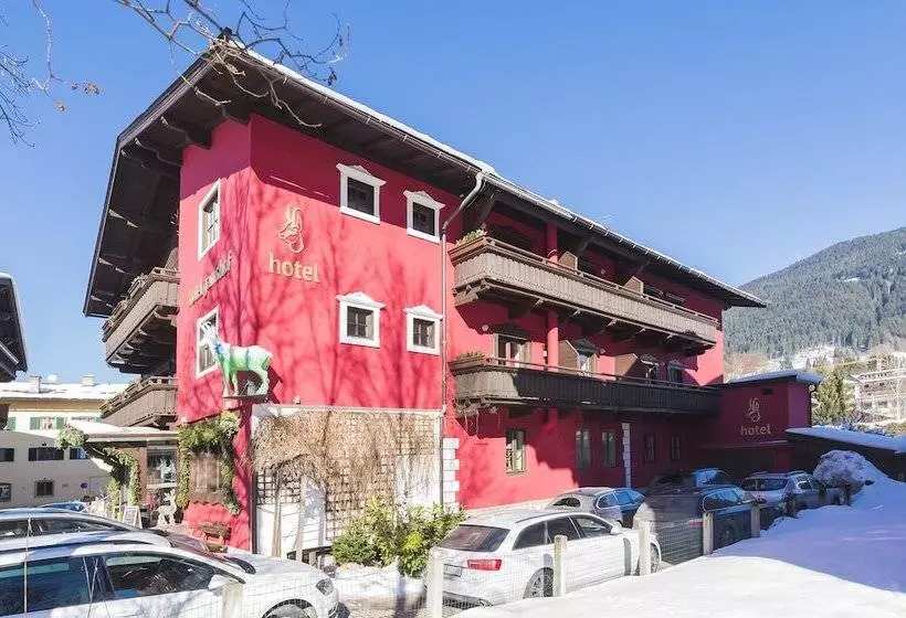 Fotos del hotel Gamshof:  9