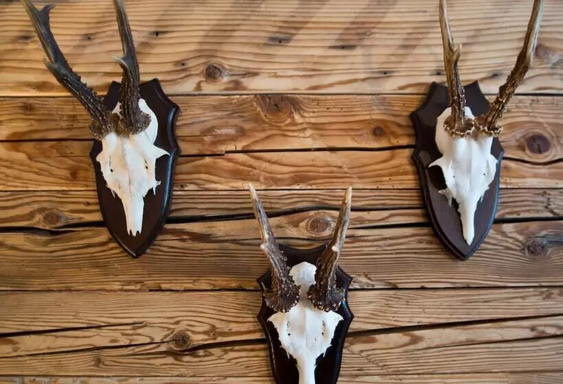 Fotos del hotel Gamshof:  7