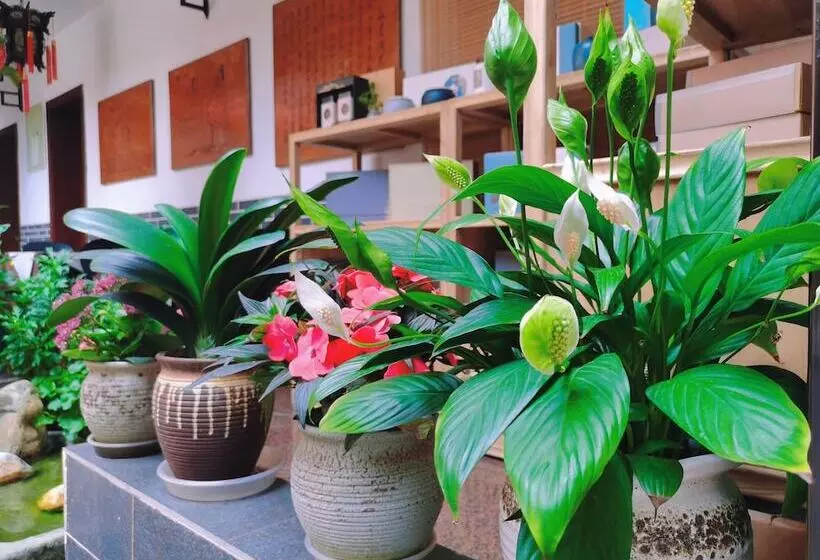 Fotos del hotel Wenjun Courtyard Hotel Chengdu ( Kuanzhai Branch):  15