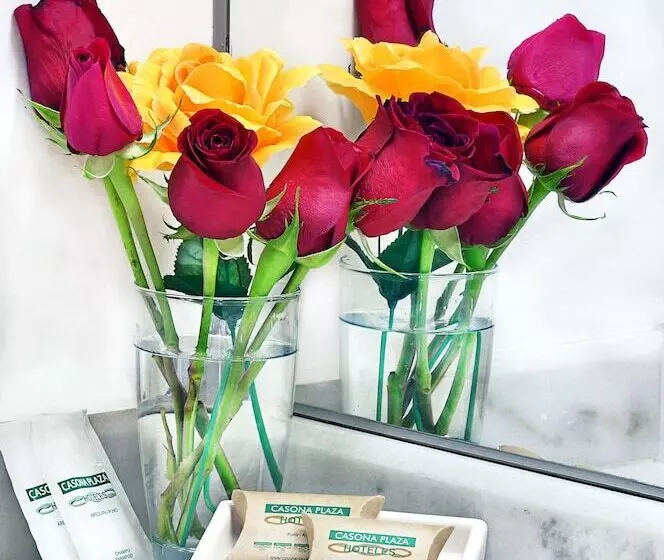 Fotos del hotel Casona  Centro:  14