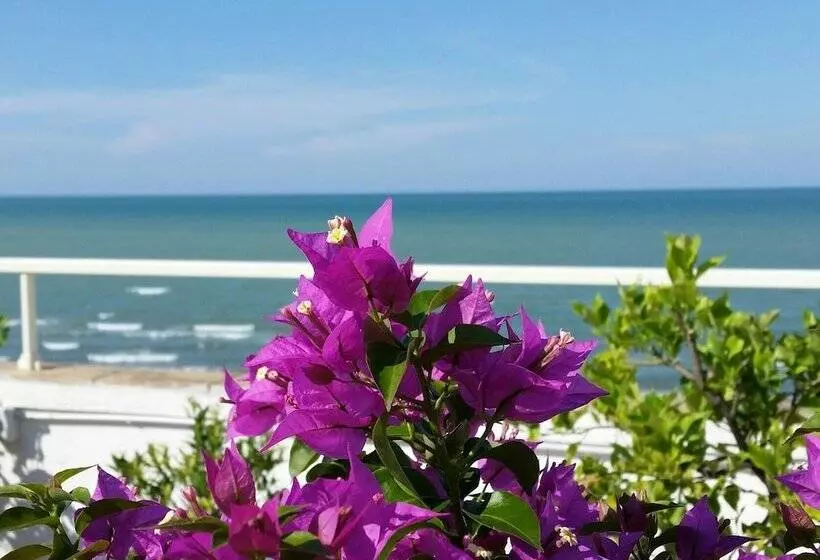 Fotos del hotel Caggiari:  7