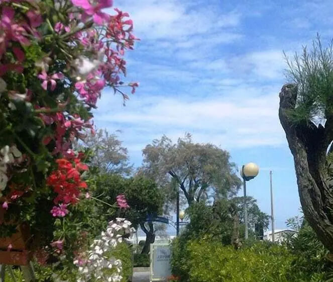 Fotos del hotel Caggiari:  17