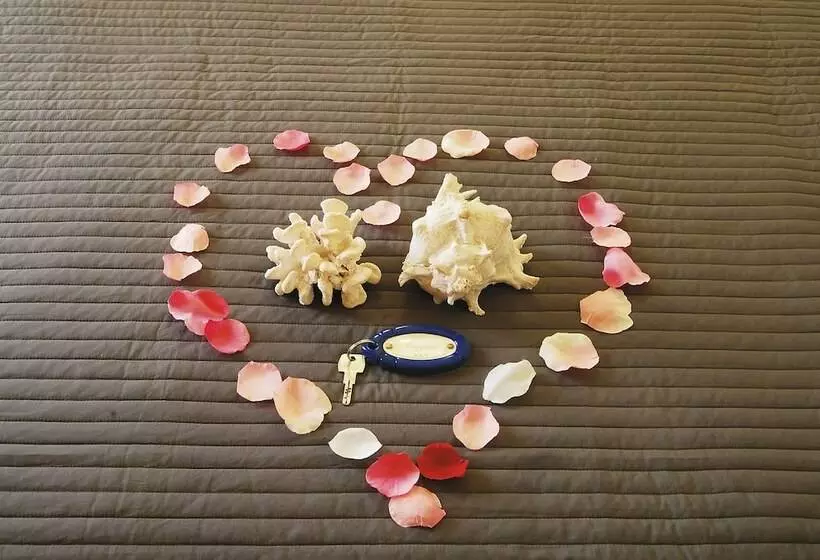 Fotos del hotel Caggiari:  6