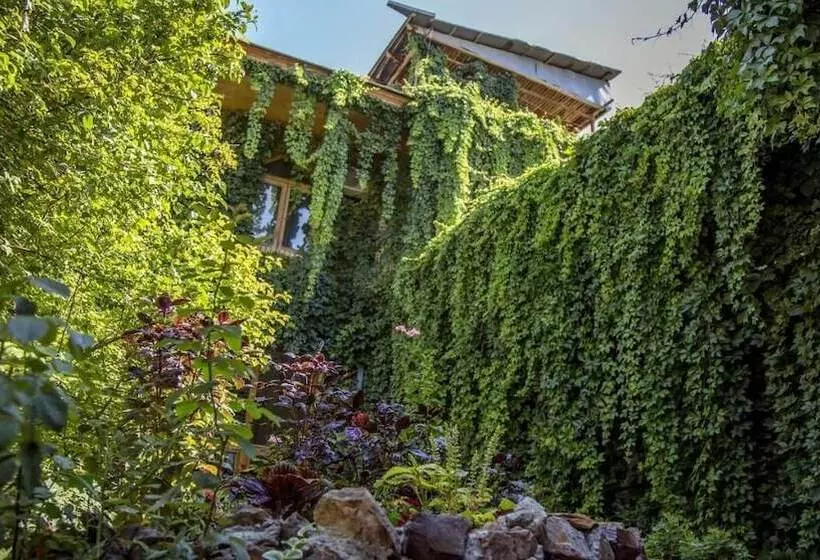 Fotos del hotel Caravan Serail:  11