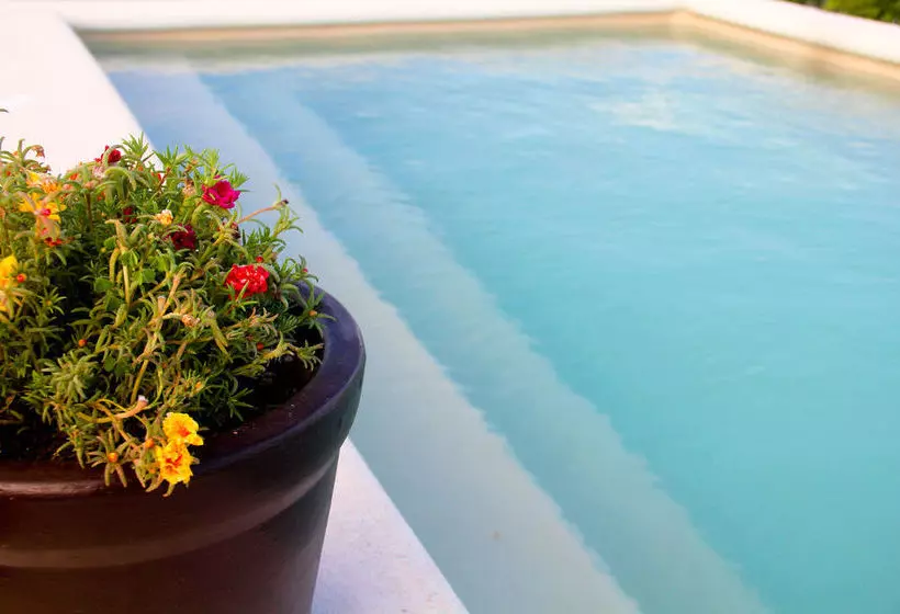 Fotos del hotel La Galeria By Bunik:  2