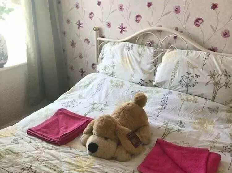 Fotos del hotel Jeanne:  13