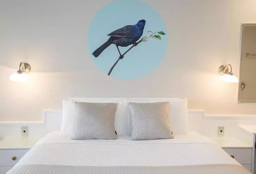 Fotos del hotel Boulevard Waters Motor Lodge:  21