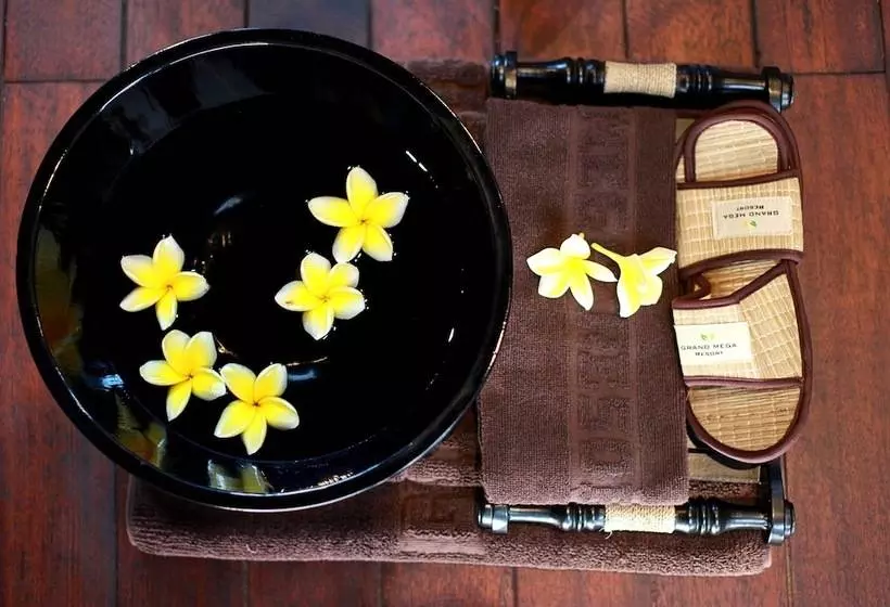 Fotos del hotel Mega Boutique:  6