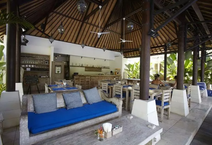 Fotos del hotel Artemis Villa And:  4