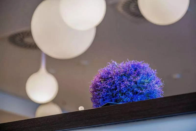 Fotos del hotel Star Inn  Premium Wien Hauptbahnhof, By Quality:  13