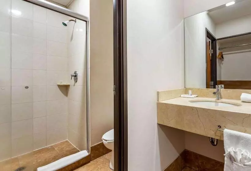 Fotos del hotel Comfort Inn Chihuahua:  17