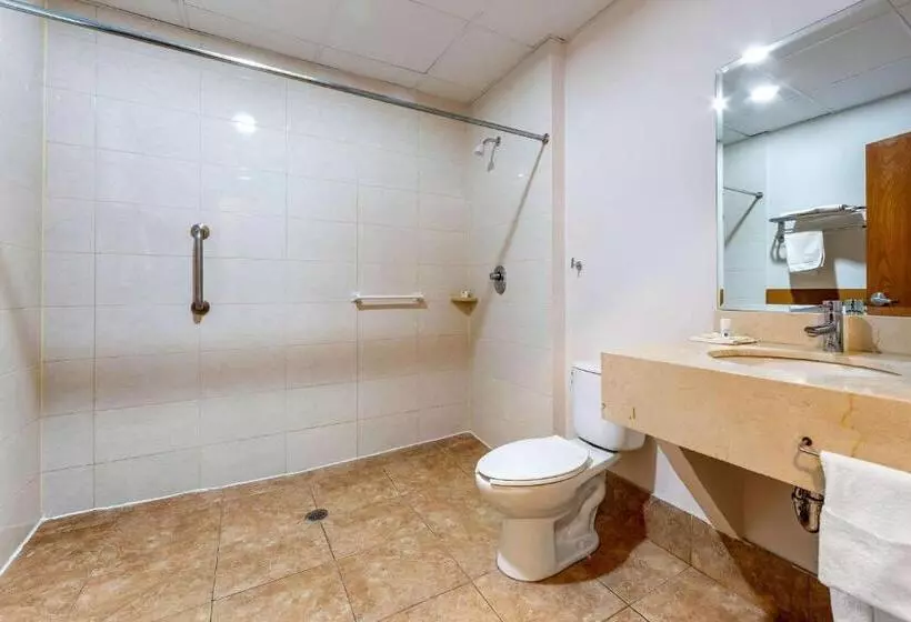 Fotos del hotel Comfort Inn Chihuahua:  13