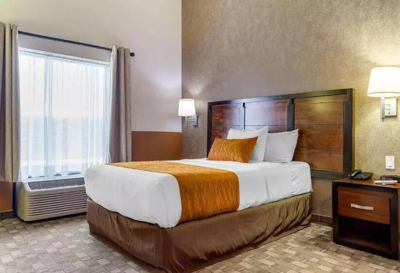 Fotos del hotel Comfort Inn Chihuahua:  22