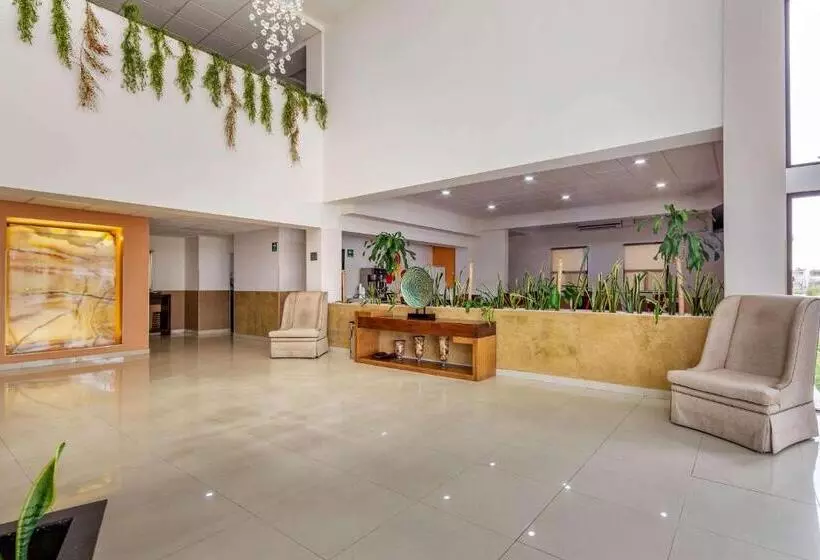 Fotos del hotel Comfort Inn Chihuahua:  16