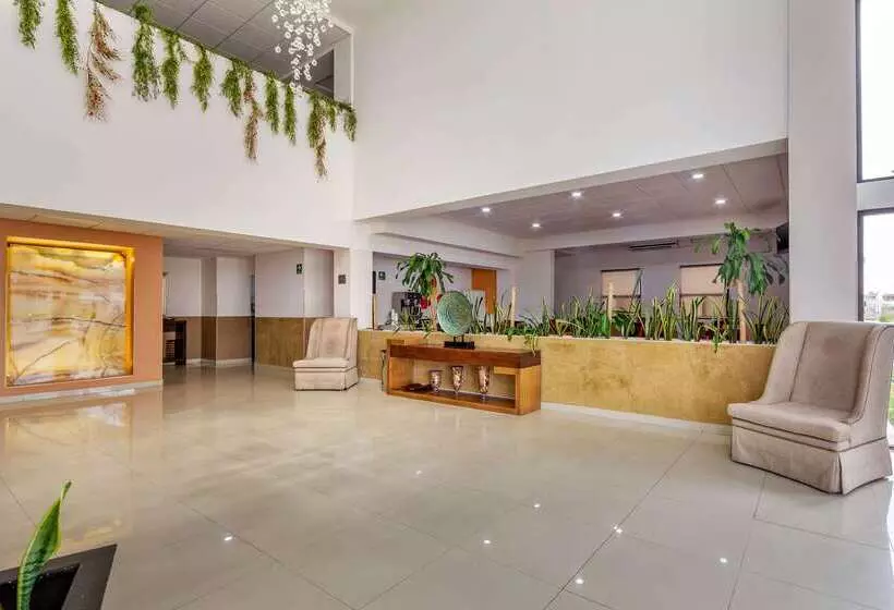 Fotos del hotel Comfort Inn Chihuahua:  4