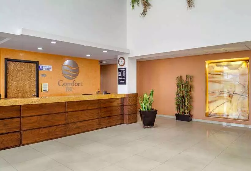 Fotos del hotel Comfort Inn Chihuahua:  3