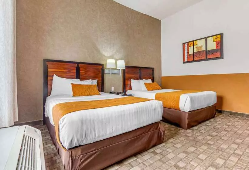 Fotos del hotel Comfort Inn Chihuahua:  19