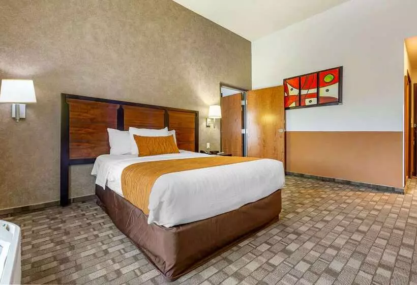 Fotos del hotel Comfort Inn Chihuahua:  9