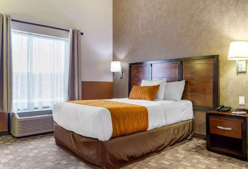 Fotos del hotel Comfort Inn Chihuahua:  2