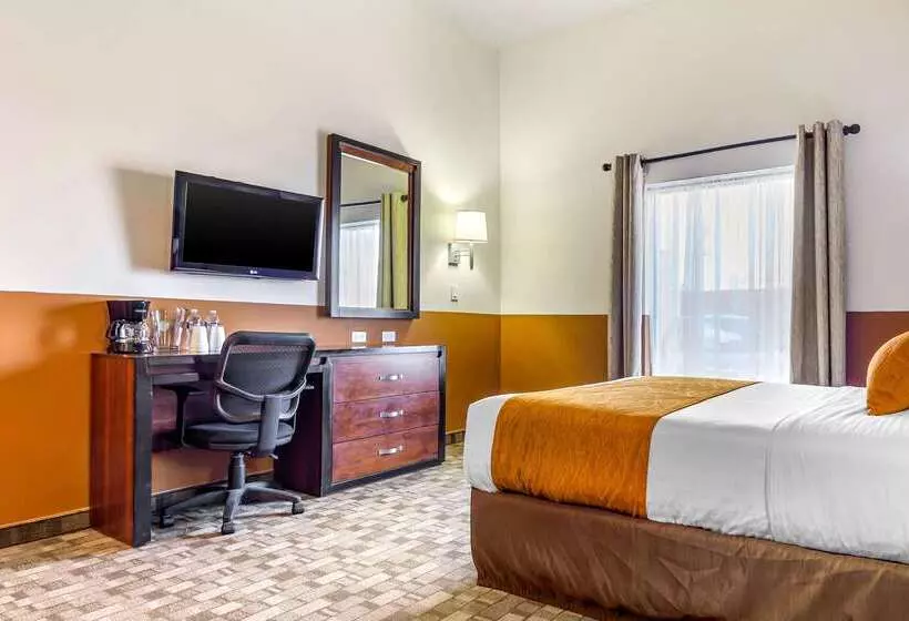 Fotos del hotel Comfort Inn Chihuahua:  15