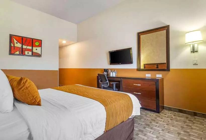 Fotos del hotel Comfort Inn Chihuahua:  21