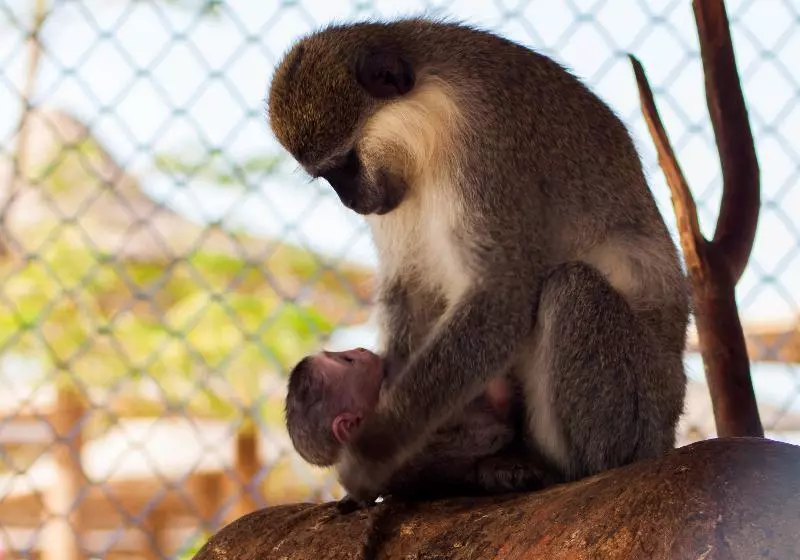 Fotos del hotel Nubia Beach Resort & Aqua Park  Hurghada:  5