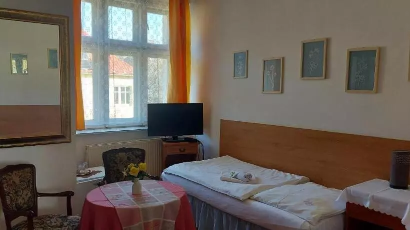 Fotos del hotel Garni:  7