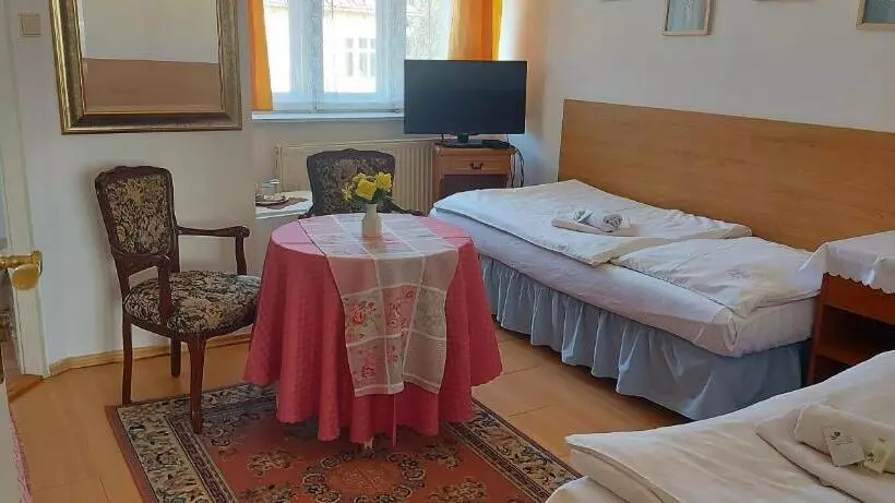 Fotos del hotel Garni:  16