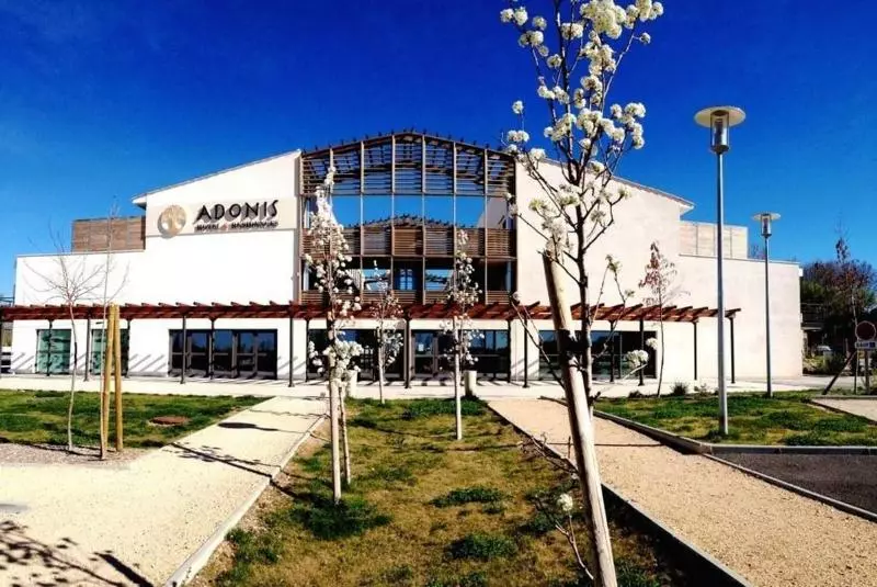 Fotos del hotel Adonis Aix En Provence:  4