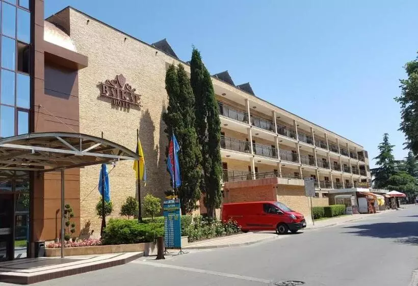 Fotos del hotel Baikal:  11