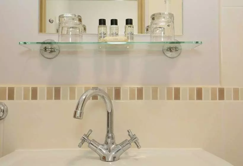 Fotos del hotel The Downe Arms:  11