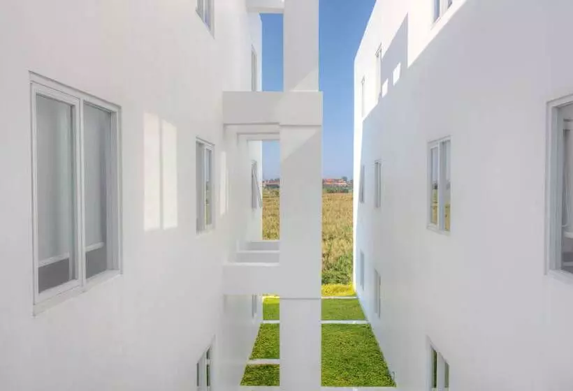 Fotos del hotel Berry Biz:  10