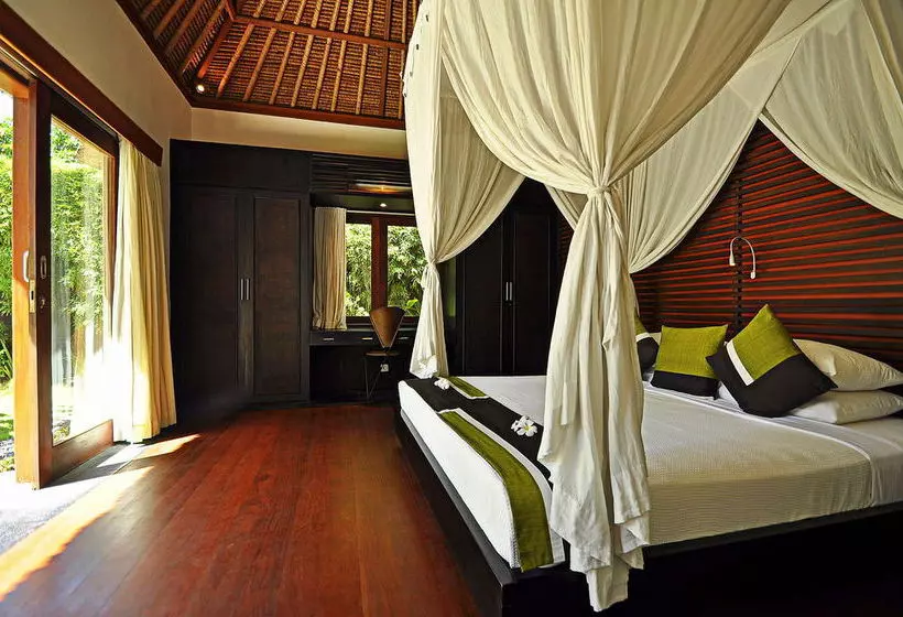 Fotos del hotel Villa Sasoon:  23