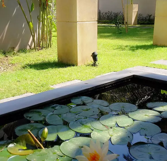 Fotos del hotel Villa Sasoon:  12