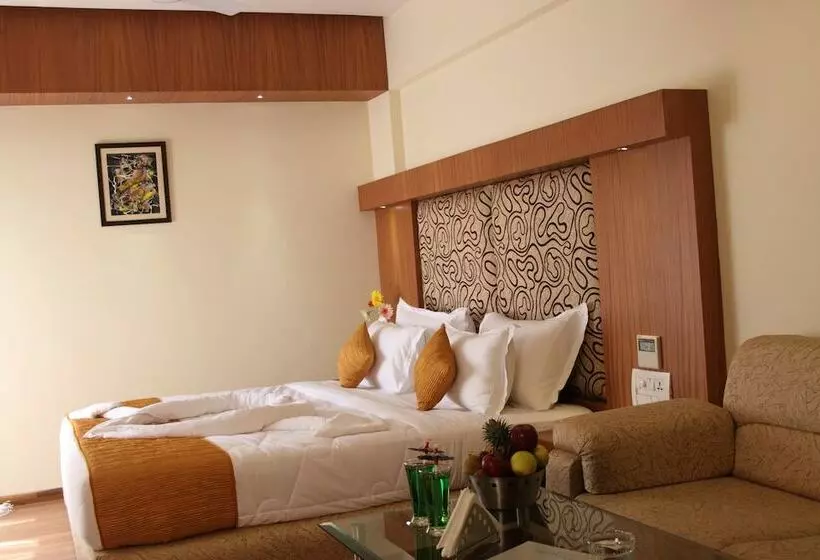 Fotos del hotel Pristine Residency:  6